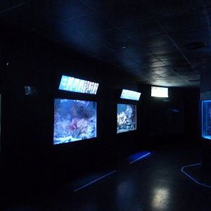 Aquarium view -Zoo Aquarium de Madrid (2025)