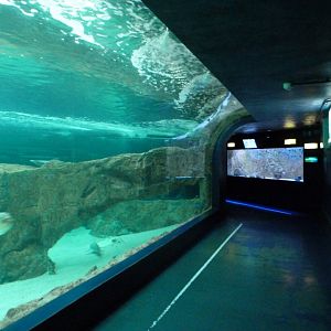 Aquarium tank -Zoo Aquarium de Madrid (2025)