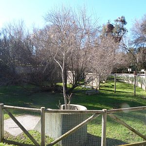 Emu exhibit -Zoo Aquarium de Madrid (2025)