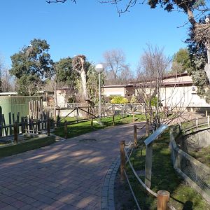 "Australian" area view -Zoo Aquarium de Madrid (2025)