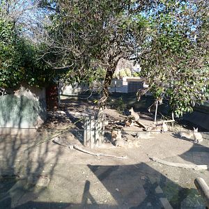 Patagonian mara exhibit -Zoo Aquarium de Madrid (2025)