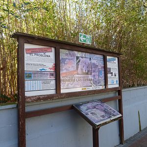 European mink signs -Zoo Aquarium de Madrid (2025)