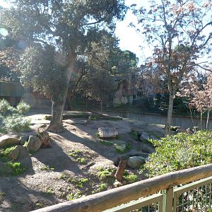 Wolf exhibit -Zoo Aquarium de Madrid (2025)