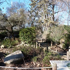 Mediterranean garden -Zoo Aquarium de Madrid (2025)