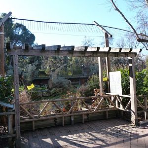 Iberian lynx exhibit -Zoo Aquarium de Madrid (2025)