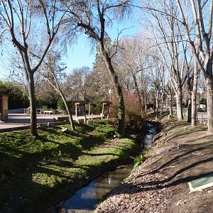 Water canal at the zoo -Zoo Aquarium de Madrid (2025)