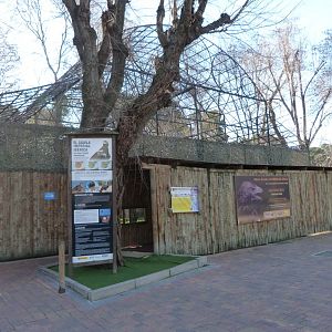 Imperial eagle and griffon vulture viewing area -Zoo Aquarium de Madrid (2025)