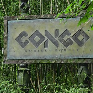 Congo Gorilla Forest - Entrance Sign