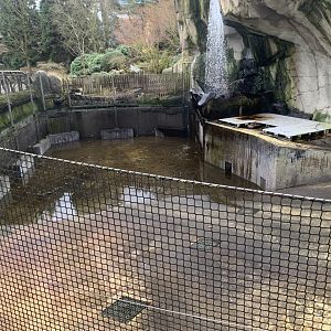 Empty California Sea Lion pool, soon home to Harbour Seals