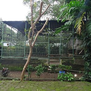Zoológico Nacional de Nicaragua: Jaguar enclosure