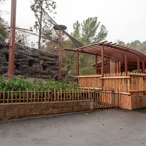 Cape Vulture Aviary - Overview