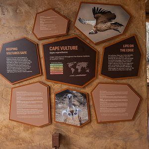 Cape Vulture Aviary - Signage