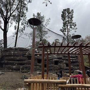 Cape Vulture habitat from the gorilla walkway