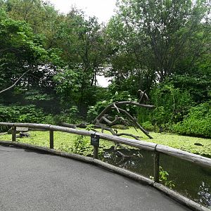 Butterfly Garden - Landscaping and Scenery