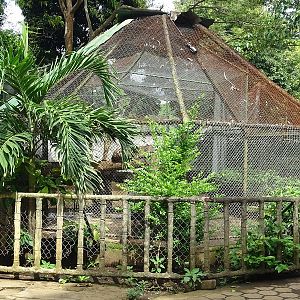 Zoológico Nacional de Nicaragua: 'Larger' jaguar enclosure