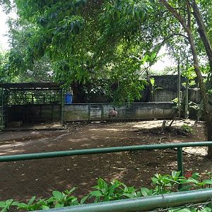 Zoológico Nacional de Nicaragua:
