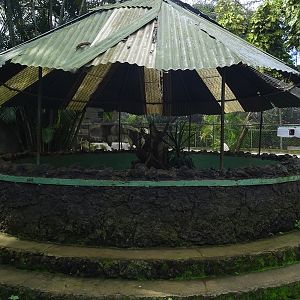 Zoológico Nacional de Nicaragua: plumed basilisk enclosure