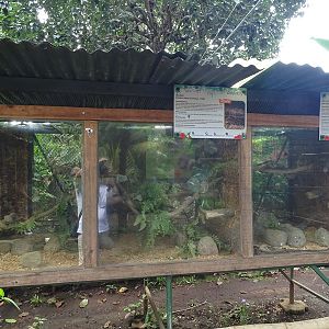 Zoológico Nacional de Nicaragua: snake terraria