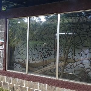 Zoológico Nacional de Nicaragua: Burmese python terrarium