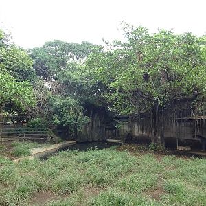 Zoológico Nacional de Nicaragua: one of 8 (!) Bairds tapir enclosures