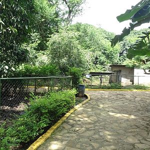 Zoológico Nacional de Nicaragua: one of 8 (!) Bairds tapir enclosures