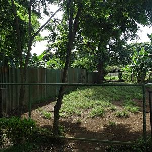 Zoológico Nacional de Nicaragua: one of 8 (!) Bairds tapir enclosures