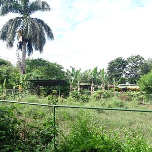 Zoológico Nacional de Nicaragua: one of 8 (!) Bairds tapir enclosures
