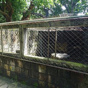 Zoológico Nacional de Nicaragua: raccoon enclosure