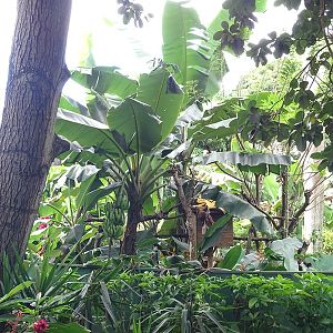Zoológico Nacional de Nicaragua: Empty enclosure