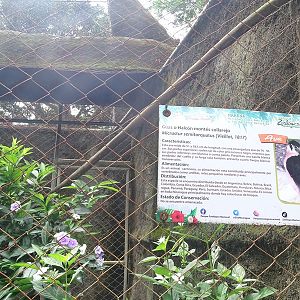 Zoológico Nacional de Nicaragua: signage example