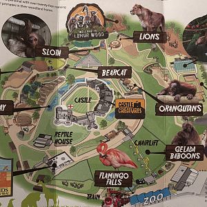 Zoo Map - January 2020