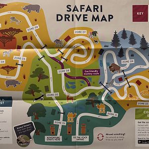 Zoo Map - Safari Drive