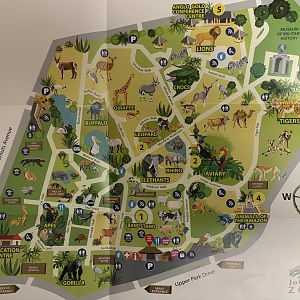 Zoo Map - 2016