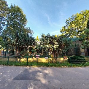 Persian Leopard (Panthera pardus tulliana)