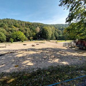 Dromedary (Camelus dromedarius) and Water Buffalo (Bubalus arnee f. bubalis) enclosures