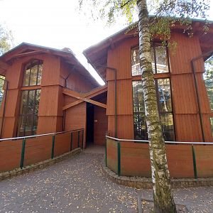 Primates - Public entry for Black-and-Gold Howler Monkey (Alouatta caraya) and  Javan Lutung (Trachypithecus auratus)