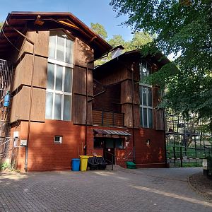 Primates - Backside of the Ape house - Orangutan (right) and Chimpanzee (left)