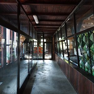 Pygmy Hippo House - Tortoise by-pass