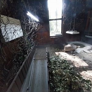 Pygmy Hippo House - Tortoise by-pass