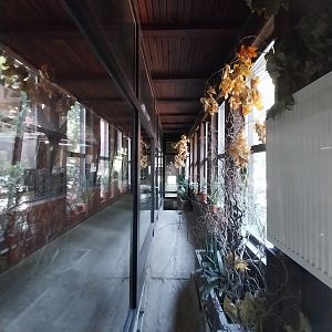 Pygmy Hippo House - Tortoise by-pass