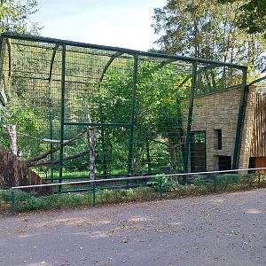 Northern Lynx (Lynx lynx lynx) enclosures