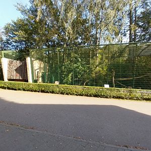 Northern Lynx (Lynx lynx lynx) enclosures