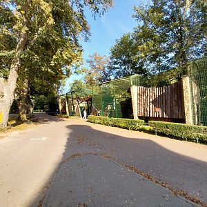 Northern Lynx (Lynx lynx lynx) enclosures