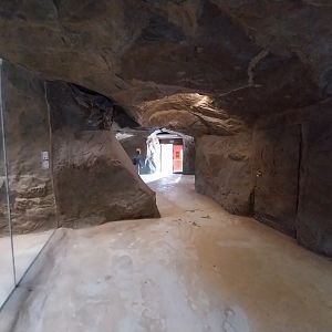 Lion House - Visitor area