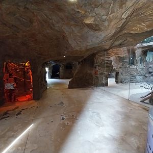 Lion House - Visitor area