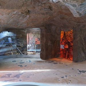 Lion House - Visitor area