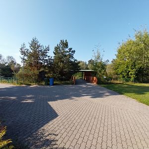 Lion enclosure - Southwest African Lion (Panthera leo bleyenberghi)