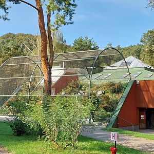 Lion House - Arabian Sand Cat enclosures