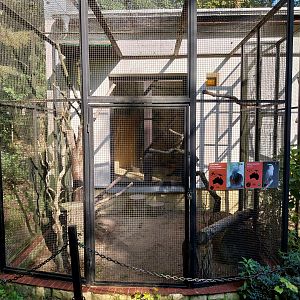 Bird & Reptile House - Aviary 1