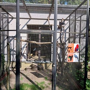 Bird & Reptile House - Aviary 2